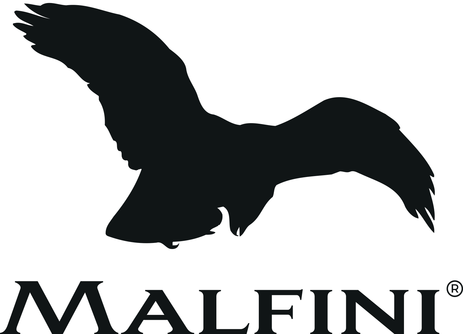 Logo_Malfini